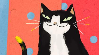 Mildred the Gallery cat looks to one side, she is a black and white cat, against a blue and red backdrop