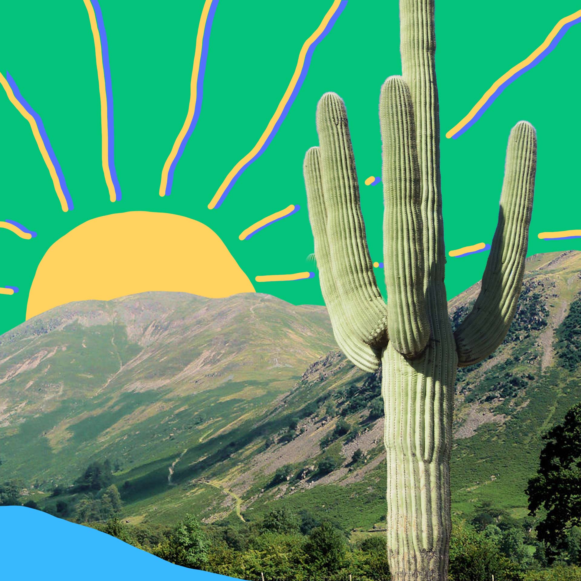 A cactus stands in front of a landscape and a sunrise